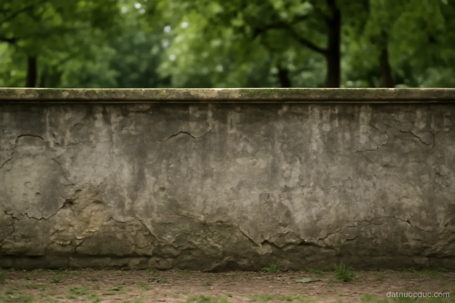 A preserved section of an old concrete wall in a city park, eye level, no readable text
